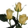 896_skyline 896_skyline