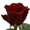 sexy_red_3 sexy_red_3