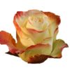 aubade_1