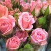 thumb_586d880a5856f